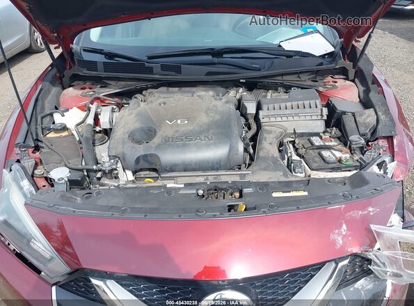 1N4AA6AP2GC421054 2016 NISSAN MAXIMA Burgundy Vista trasera