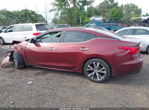 1N4AA6AP2GC421054 2016 NISSAN MAXIMA Burgundy 