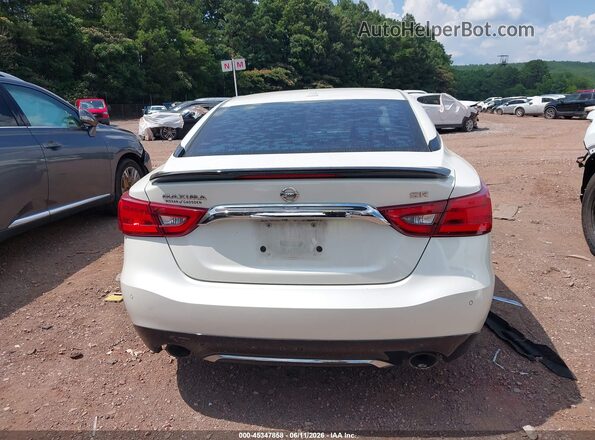 1N4AA6AP2HC436493 2017 NISSAN MAXIMA Белый 
