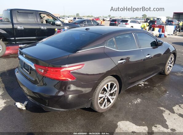1N4AA6AP3GC387089 2016 NISSAN MAXIMA Black უკანა მარჯვენა