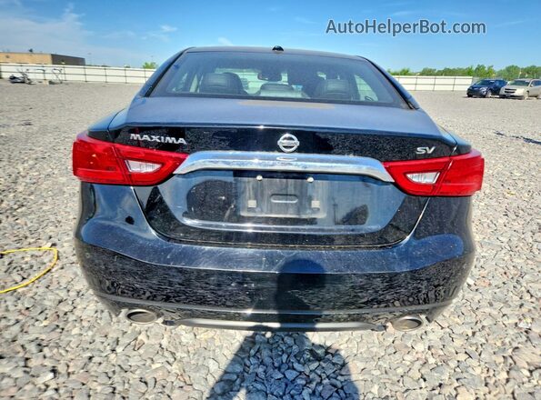 1N4AA6AP3GC443404 2016 NISSAN MAXIMA Черный Вид сзади