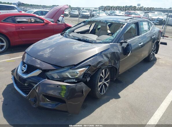 1N4AA6AP4GC408144 2016 NISSAN MAXIMA Brown Front left