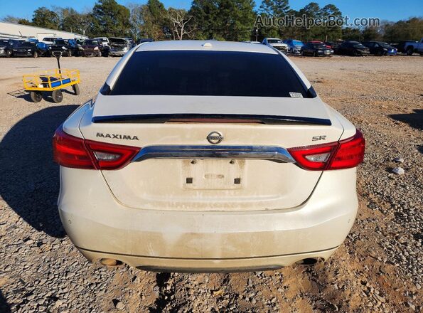 1N4AA6AP4GC421668 2016 NISSAN MAXIMA Белый Вид сзади