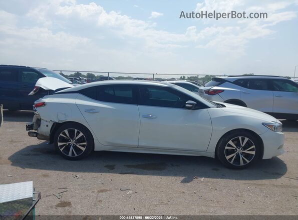 1N4AA6AP4HC364051 2017 NISSAN MAXIMA White Սալոնի հետևի տեսք