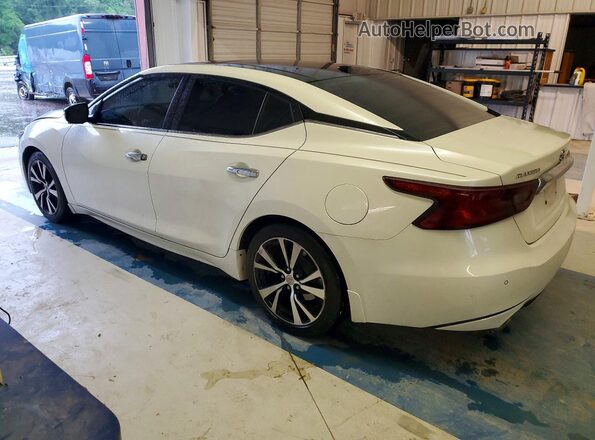 1N4AA6AP5HC447889 2017 NISSAN MAXIMA White Задня ліва чверть