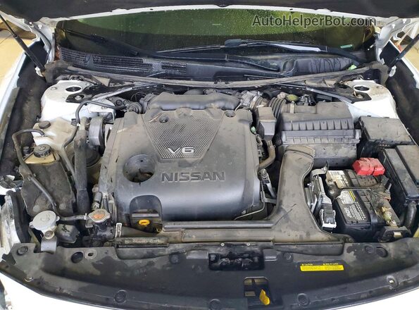 1N4AA6AP5HC447889 2017 NISSAN MAXIMA White Вид задньої частини салону