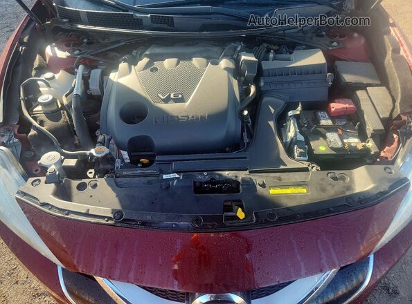 1N4AA6AP6GC417329 2016 NISSAN MAXIMA Burgundy Rear interior view