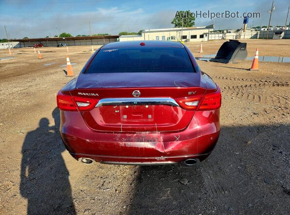 1N4AA6AP6GC417329 2016 NISSAN MAXIMA Burgundy Rear view