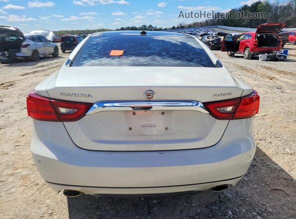 1N4AA6AP6HC444354 2017 NISSAN MAXIMA White Widok z tyłu