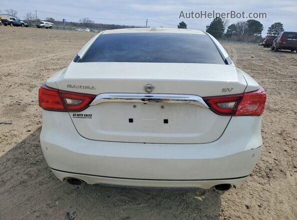 1N4AA6AP7GC381909 2016 NISSAN MAXIMA Белый Вид сзади