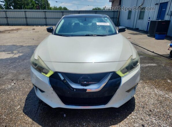 1N4AA6AP7GC393459 2016 NISSAN MAXIMA White 