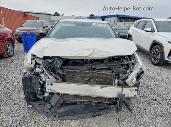 1N4AA6AP7HC375898 2017 NISSAN MAXIMA Белый 