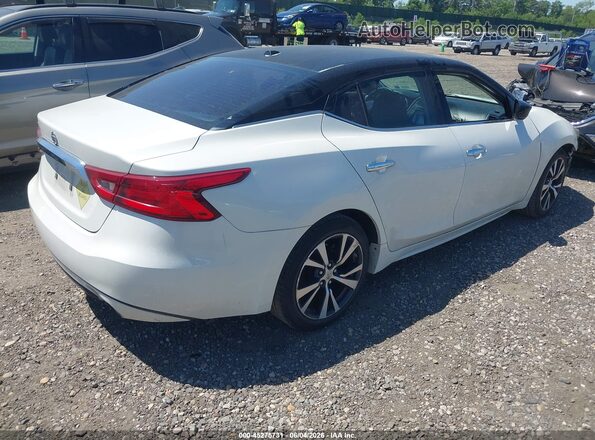 1N4AA6AP7HC378655 2017 NISSAN MAXIMA White Հետևի աջ