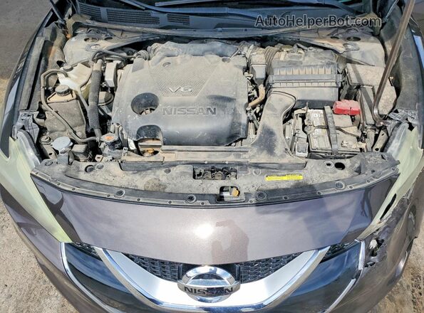 1N4AA6AP8GC396273 2016 NISSAN MAXIMA Gray Вид задньої частини салону