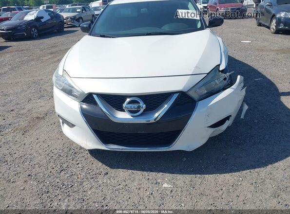 1N4AA6AP8GC396516 2016 NISSAN MAXIMA White Սալոնի հետևի տեսք