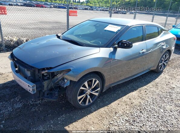 1N4AA6AP8HC361962 2017 NISSAN MAXIMA Gray Front left