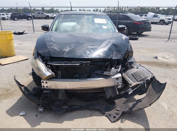 1N4AA6AP8HC374551 2017 NISSAN MAXIMA Черный Вид задней части салона