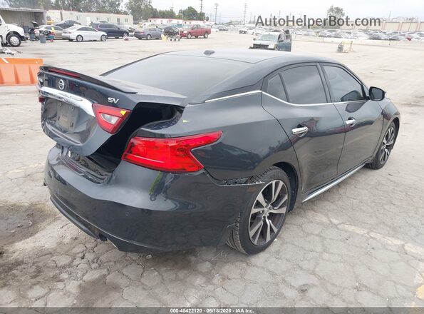 1N4AA6AP9GC427000 2016 NISSAN MAXIMA Gray უკანა მარჯვენა