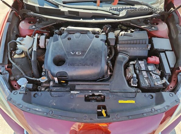 1N4AA6AP9GC431533 2016 NISSAN MAXIMA Burgundy Սալոնի հետևի տեսք