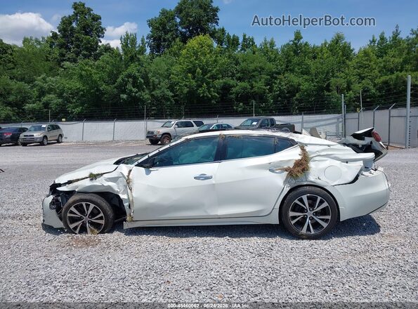 1N4AA6AP9HC453775 2017 NISSAN MAXIMA Белый 