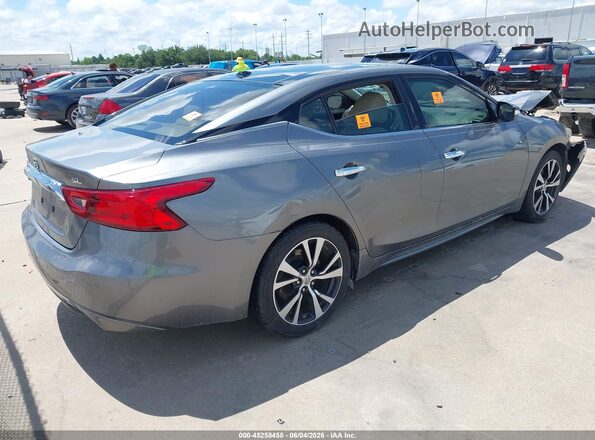 1N4AA6APXGC414689 2016 NISSAN MAXIMA Gray უკანა მარჯვენა