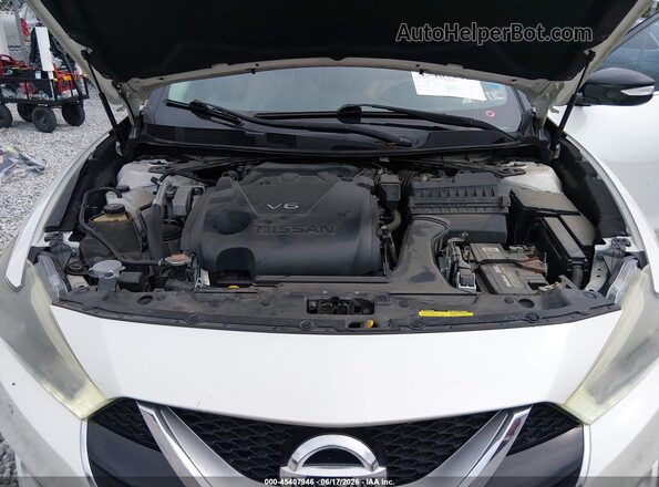 1N4AA6APXGC421268 2016 NISSAN MAXIMA Белый Вид сзади