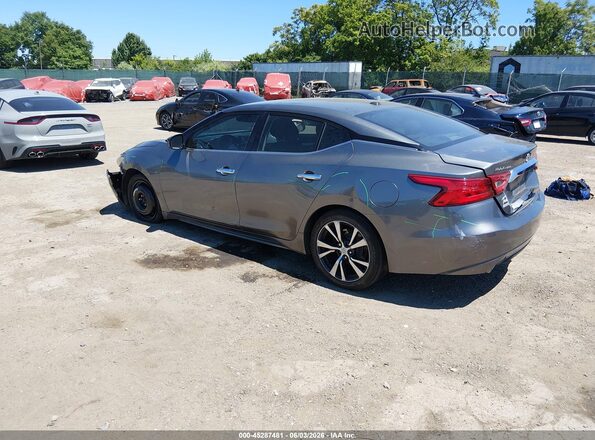 1N4AA6APXHC440968 2017 NISSAN MAXIMA Gray უკანა მარცხენა