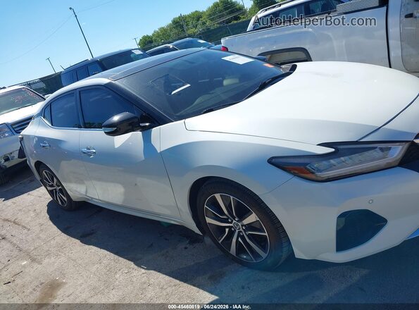 1N4AA6AV0KC366868 2019 NISSAN MAXIMA White უკანა სალონის ხედი