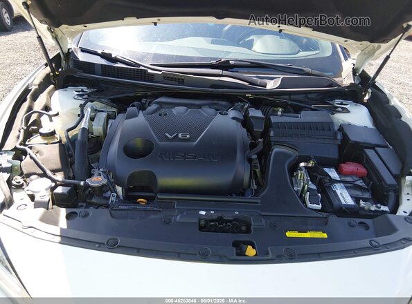 1N4AA6AV0KC375070 2019 NISSAN MAXIMA White Widok z tyłu