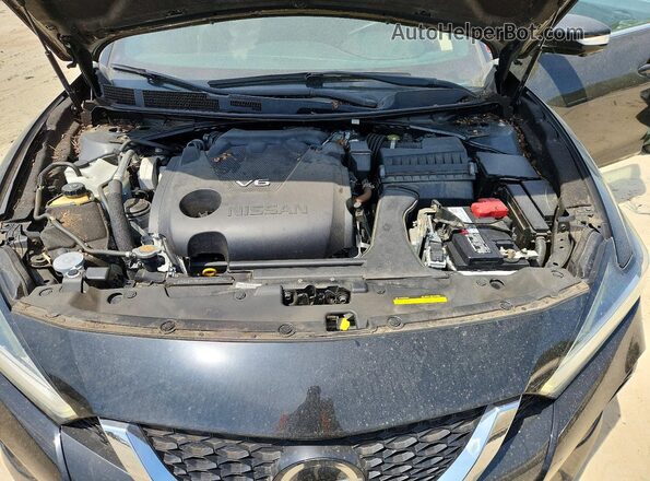 1N4AA6AV4KC363326 2019 NISSAN MAXIMA Черный 
