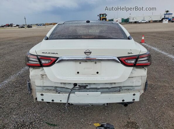 1N4AA6AV5KC367336 2019 NISSAN MAXIMA White Հետևի տեսք