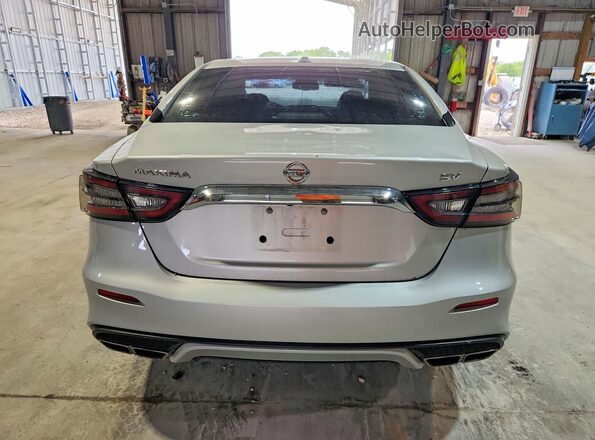 1N4AA6AV6KC371007 2019 NISSAN MAXIMA Серебряный Вид сзади