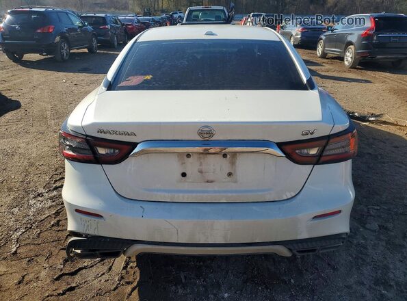 1N4AA6AV6KC371654 2019 NISSAN MAXIMA White Rear view