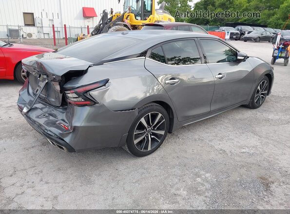 1N4AA6CV0PC502744 2023 NISSAN MAXIMA Gray Tył prawy