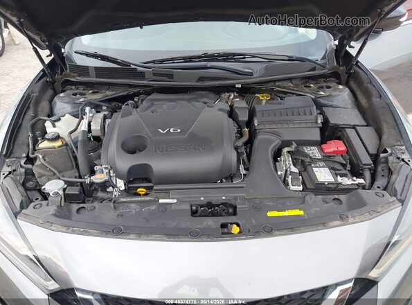1N4AA6CV0PC502744 2023 NISSAN MAXIMA Gray Widok z tyłu