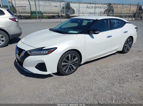 1N4AA6CV4PC512662 2023 NISSAN MAXIMA White Передня ліва чверть