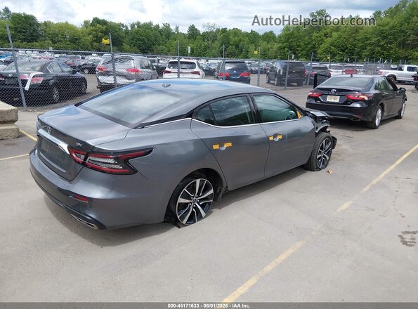 1N4AA6CV7PC511084 2023 NISSAN MAXIMA Gray 
