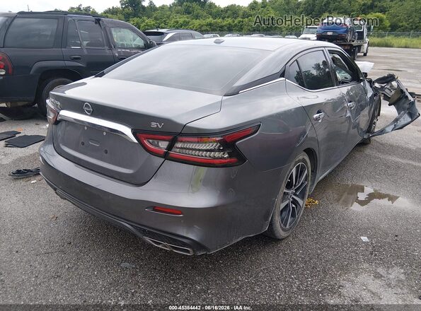 1N4AA6CV7PC511652 2023 NISSAN MAXIMA Gray Tył prawy