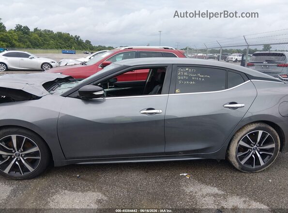 1N4AA6CV7PC511652 2023 NISSAN MAXIMA Gray 
