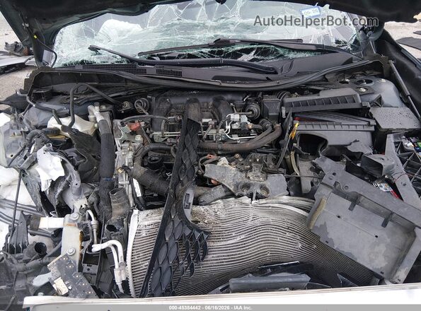1N4AA6CV7PC511652 2023 NISSAN MAXIMA Gray Widok z tyłu