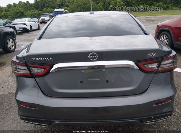 1N4AA6CV7PC511652 2023 NISSAN MAXIMA Gray 