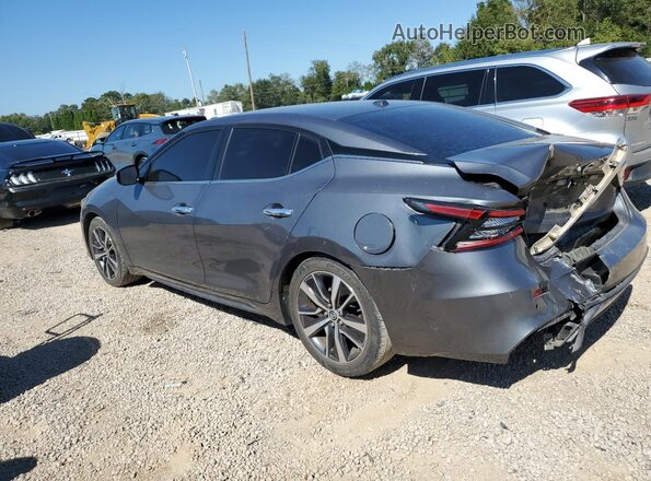1N4AA6CV9LC365765 2020 NISSAN MAXIMA Gray უკანა მარცხენა
