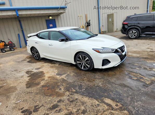 1N4AA6CV9PC509112 2023 NISSAN MAXIMA White წინა მარჯვენა