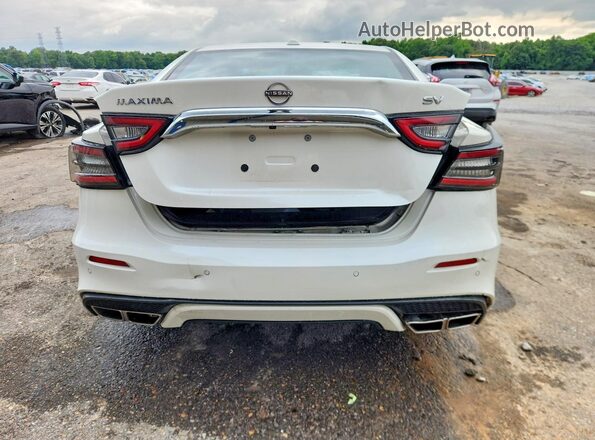 1N4AA6CV9PC509112 2023 NISSAN MAXIMA White უკანა ხედი