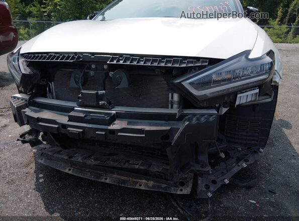 1N4AA6EV1PC504452 2023 NISSAN MAXIMA White 