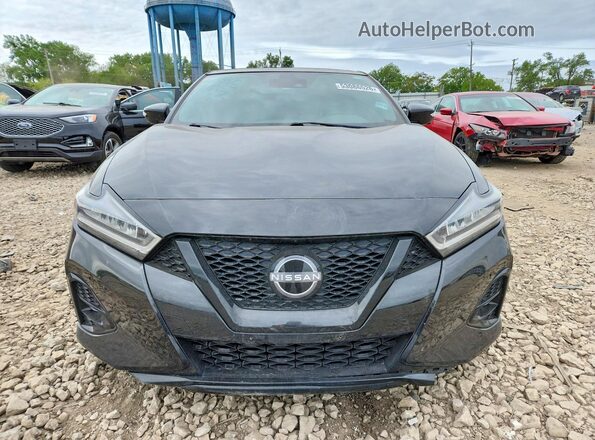 1N4AA6EV2PC503049 2023 NISSAN MAXIMA Черный Вид спереди