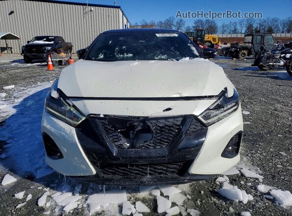 1N4AA6EV9PC507650 2023 NISSAN MAXIMA White Vista frontal