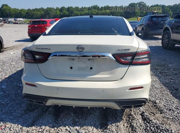 1N4AA6FV4PC501267 2023 NISSAN MAXIMA White Вид ззаду