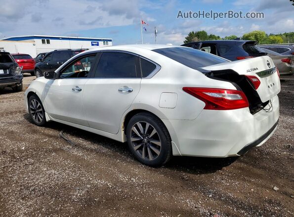 1N4AL3AP5HN339124 2017 NISSAN ALTIMA Белый 
