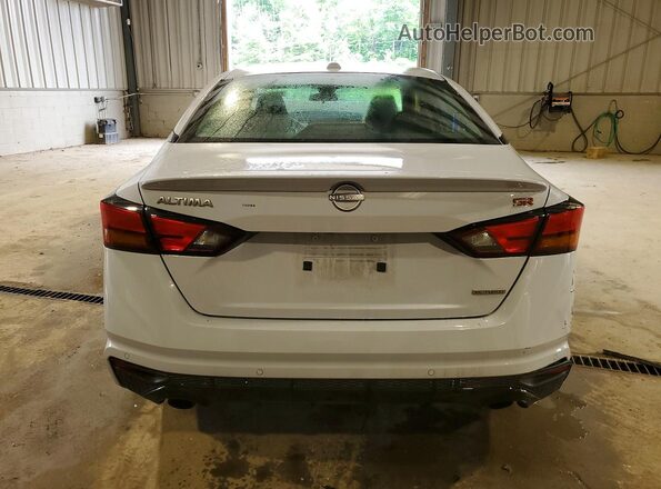 1N4AL4CV9RN394081 2024 NISSAN ALTIMA Gray Widok z tyłu